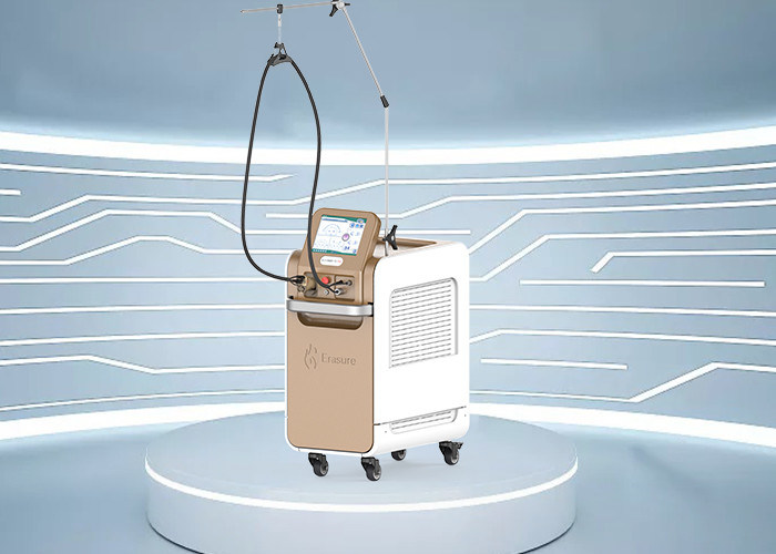 PP DI Filtreli Taşınabilir 755nm Alexandrite Lazer Epilasyon Makinesi 220V AC